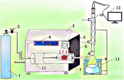 Selective Production of Phenol-Rich Bio-Oil From Corn Straw Waste by Direct Microwave Pyrolysis Without Extra Catalyst